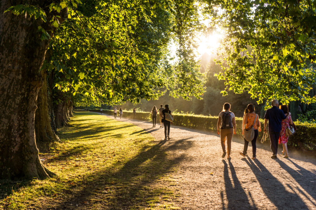 people walking in a park in the evening next to water